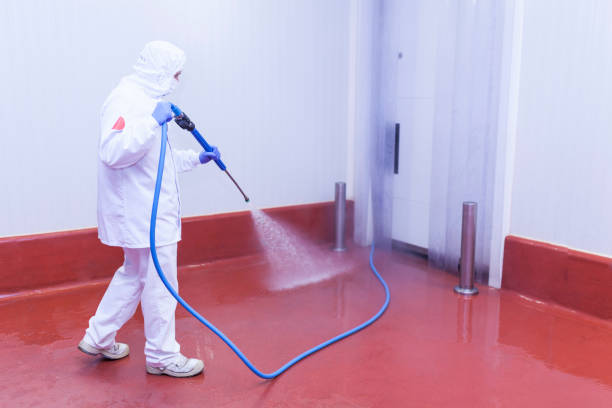 Best Solar Panel Cleaning  in Glenwood Landing, NY